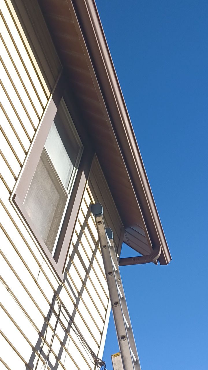 Fran Bush by Silver Leaf Contracting 