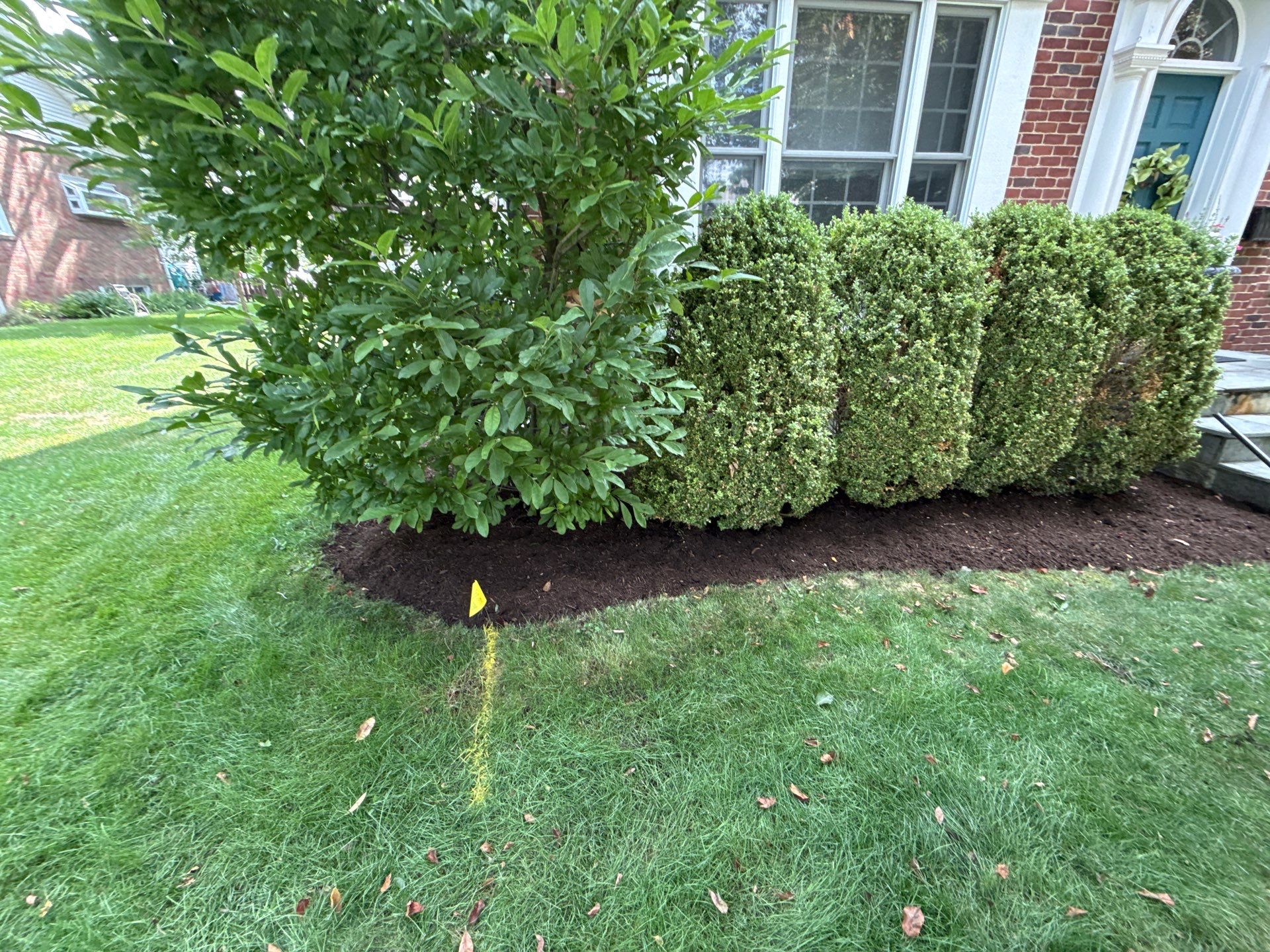 Jason G. - Arlington Heights, IL by A&N