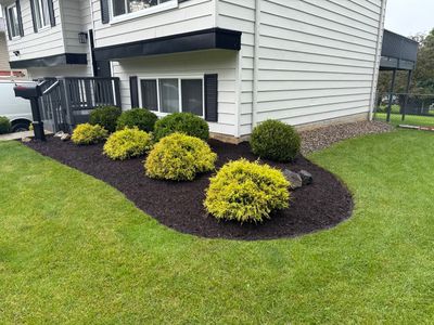 Traditional Rent Ready Project