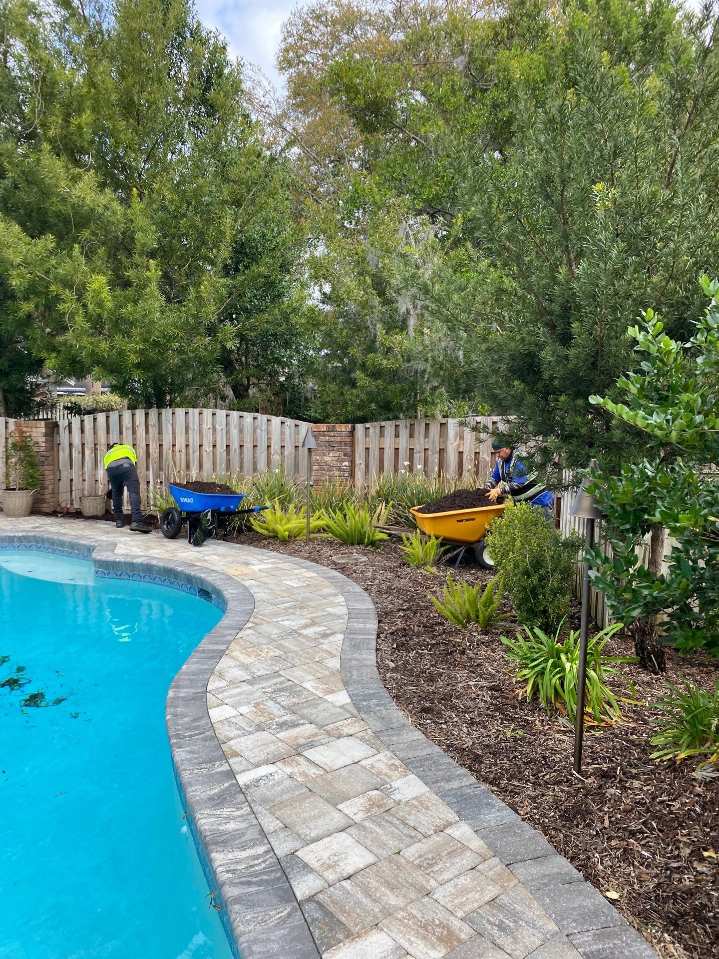 Deerwood Resident | Tree Removal & Mulch Install by ProGreen Services