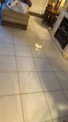 Mold Remediation — Bonita Springs, FL