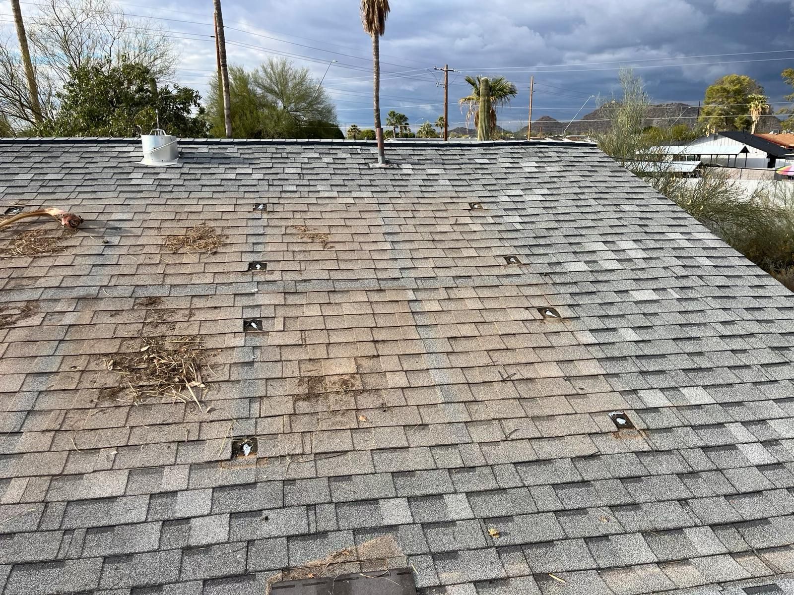 Desert Tan Shingles by Reimagine Roofing