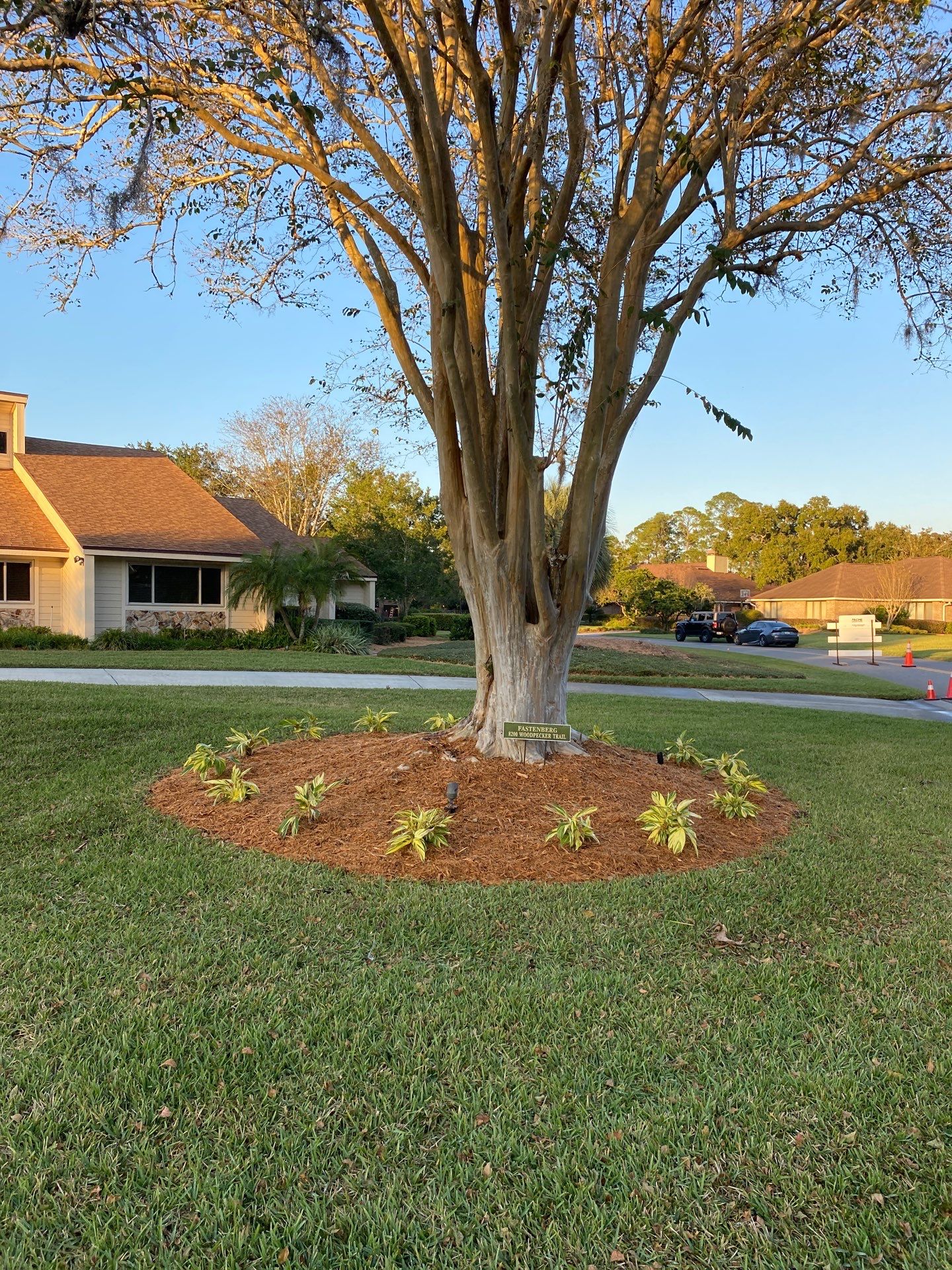 Deerwood Resident | Landscape Project by ProGreen Services
