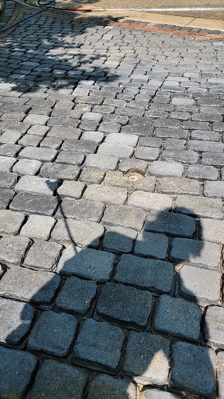 Glencoe, IL brick paver clean sand seal, repair, and reseal by Northern Power Washing LLC.