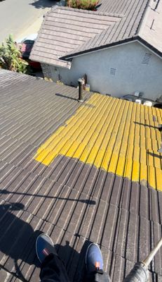Roof Cleaning