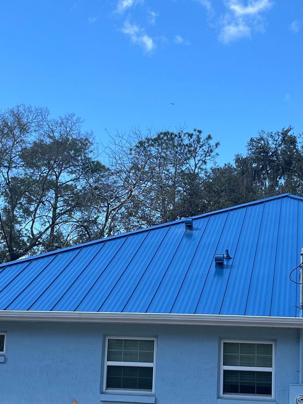 Metal roofing in Silver Springs, FL by Brehm Roofing