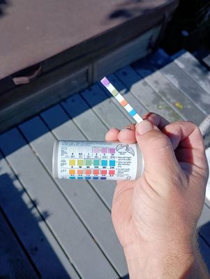 Project in San Diego