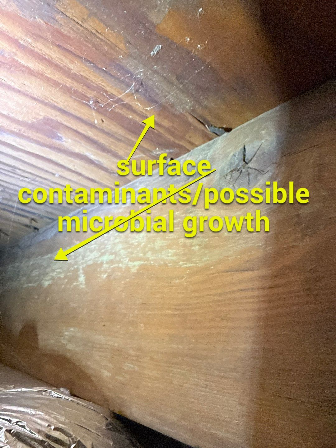 Post‑Remediation Clearance Test & Corrective Mold Remediation, Dover, DE. by Healthy Home Solutions