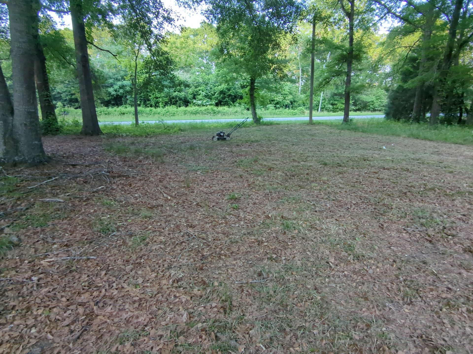 Exterior Clearing - tree trimming - grass cut by Swift Signings and Services LLC