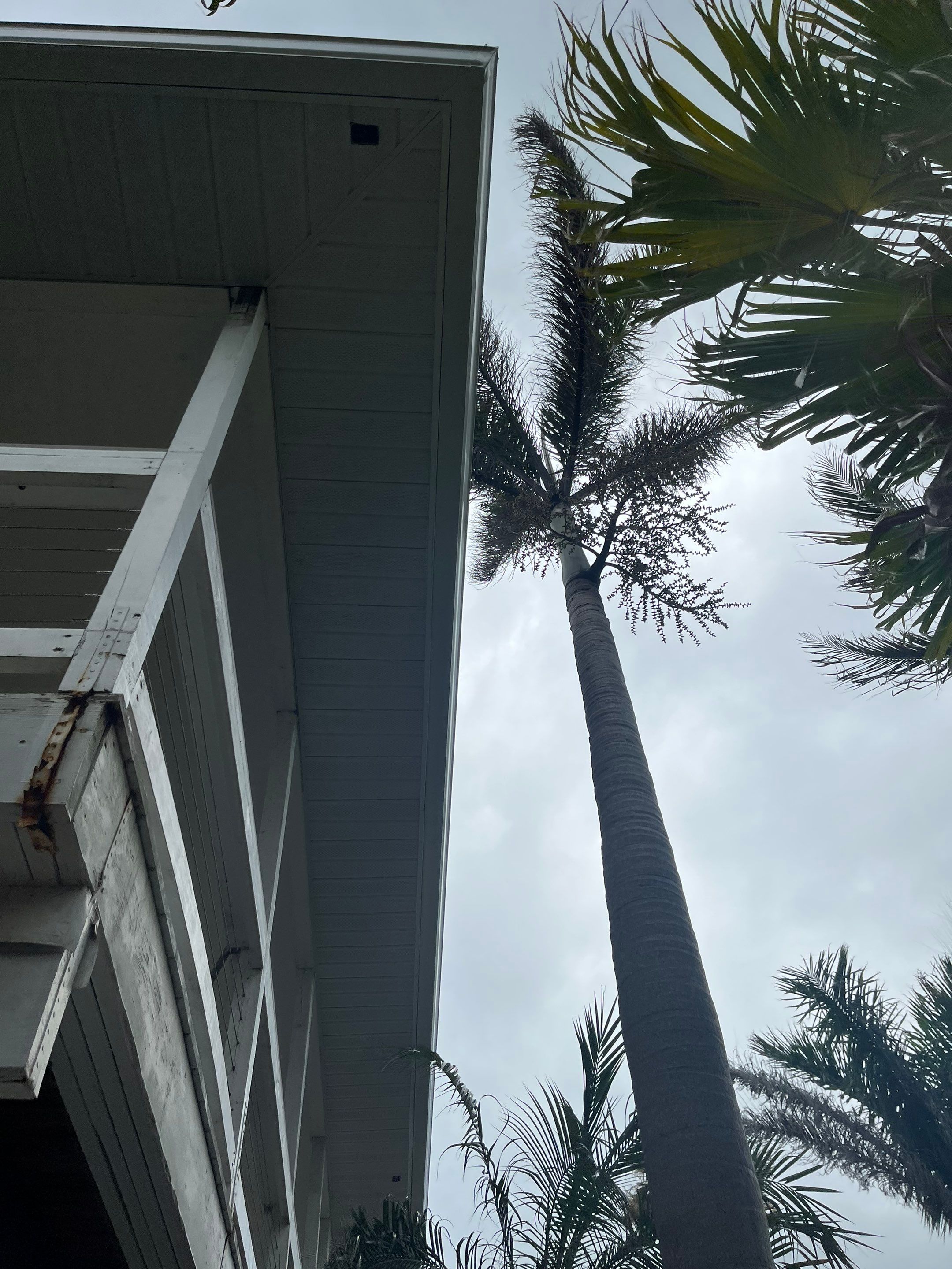Complete Gutter, Soffit & Fascia Project in Placida FL by Gutter Professors