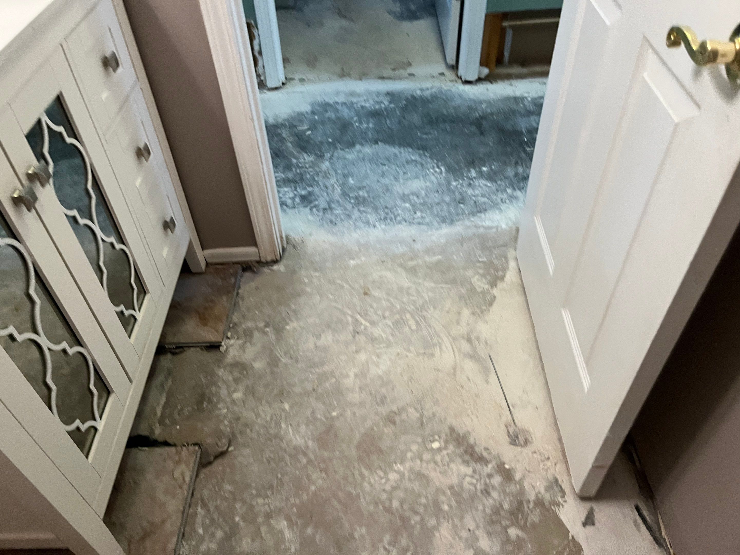 Mitigation and Repairs Project by ANR Restoration