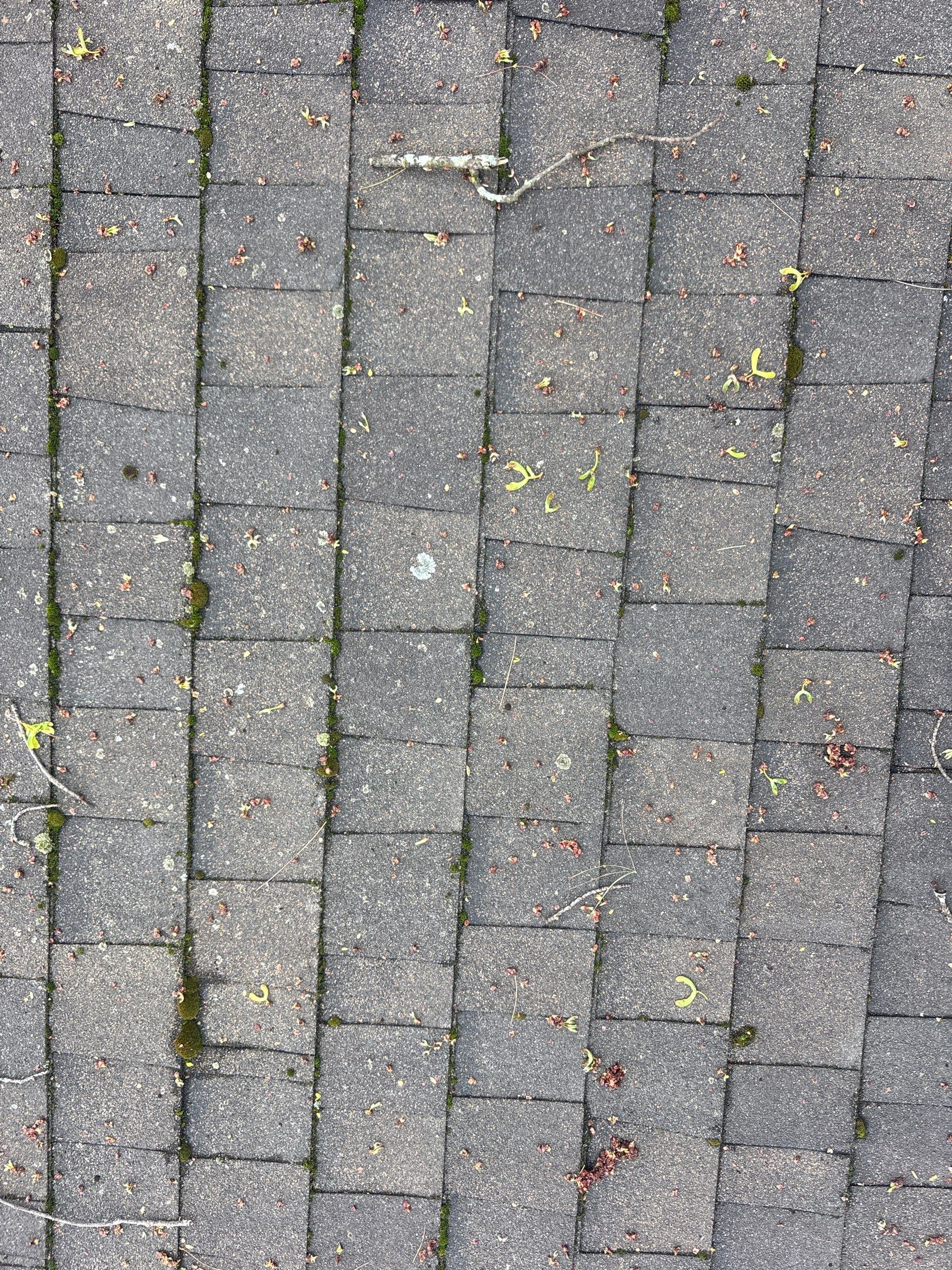 Roof Replacement using Owens Corning Brownwood by 180 Contractors