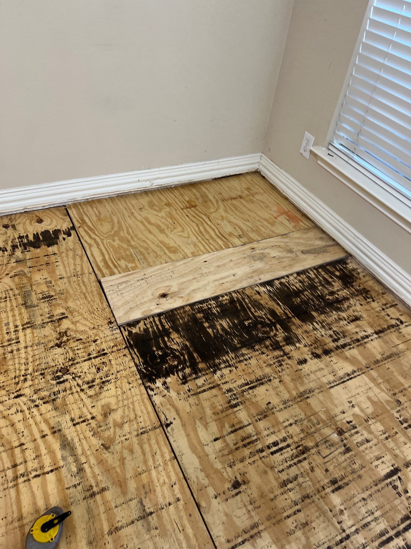 In Progress - Insurance replaced all hardwoods by Bernard Hardwood Floors