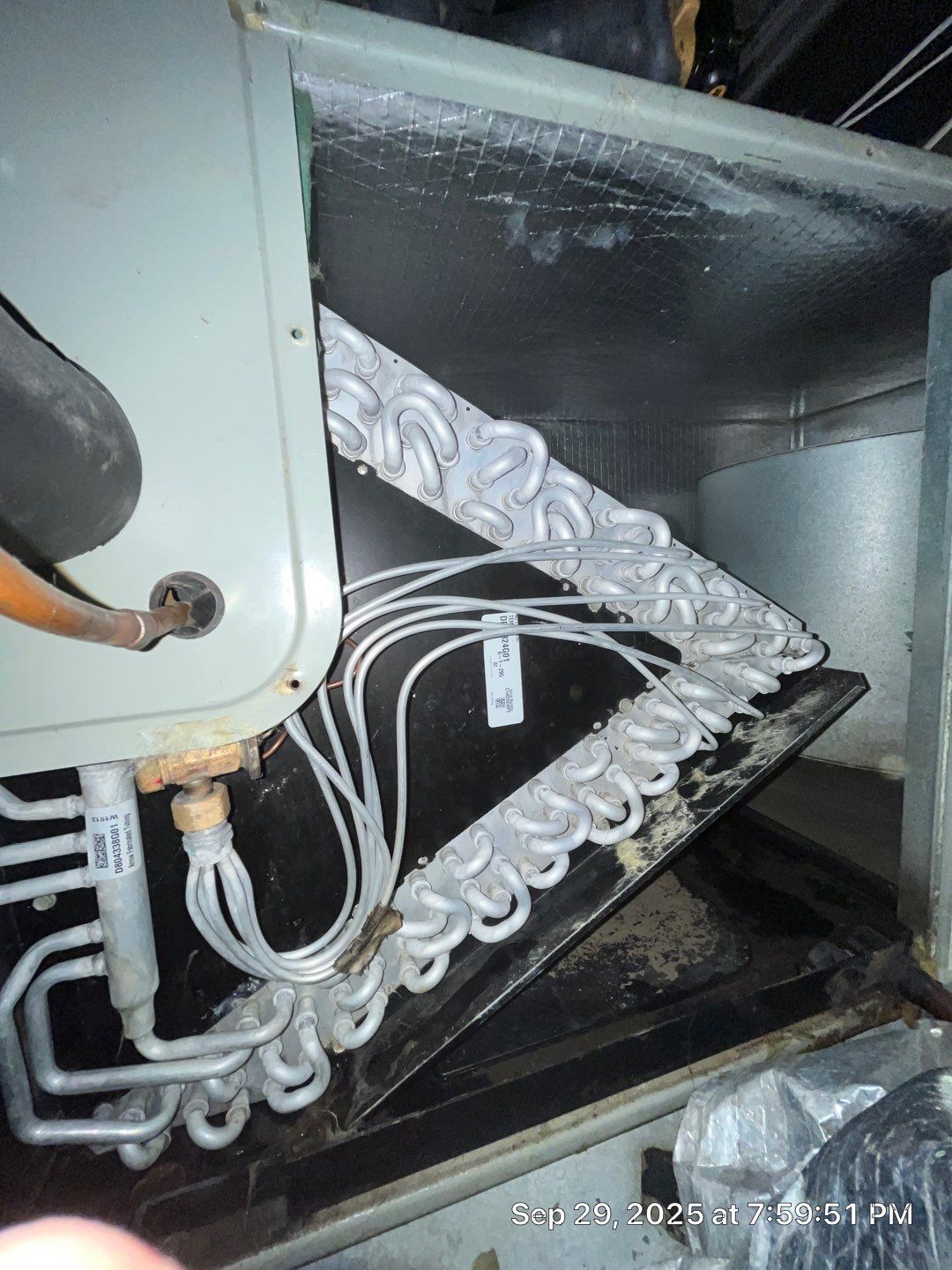 Rally House Humble by Pilo's A/C