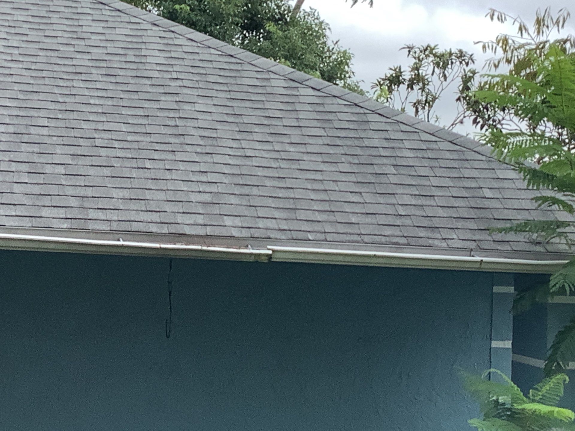 Professional Gutter Cleaning  by Gutter Professors