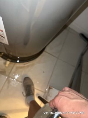 Mold Remediation — Bonita Springs, FL