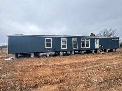 Project in Seminole