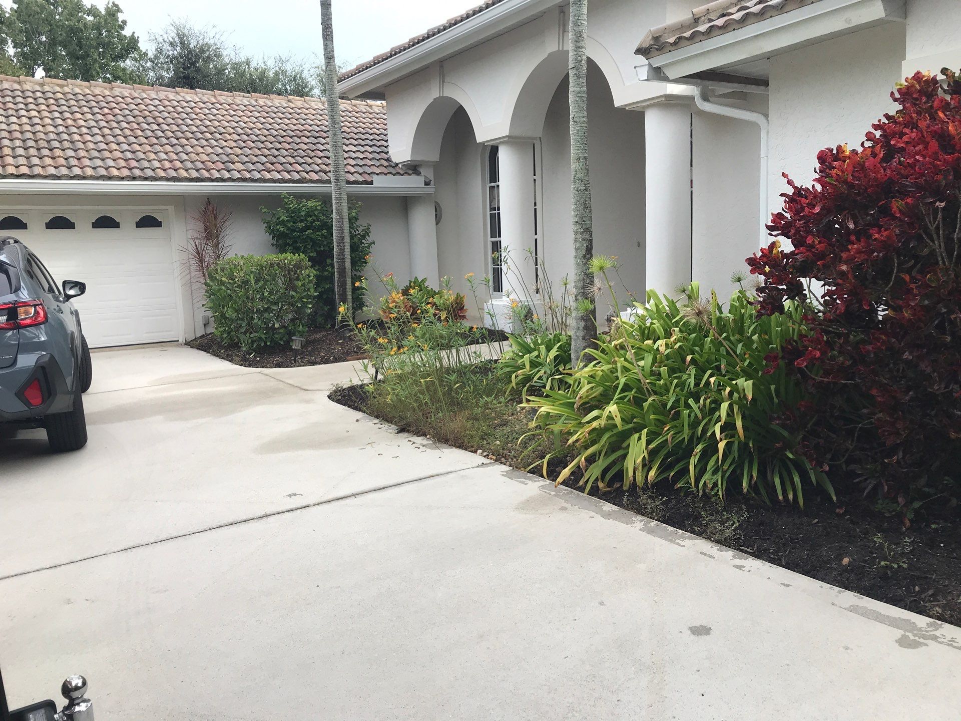 🌴 Landscape Removal and Install in Palm City by Alpha Zeta Enterprises Inc