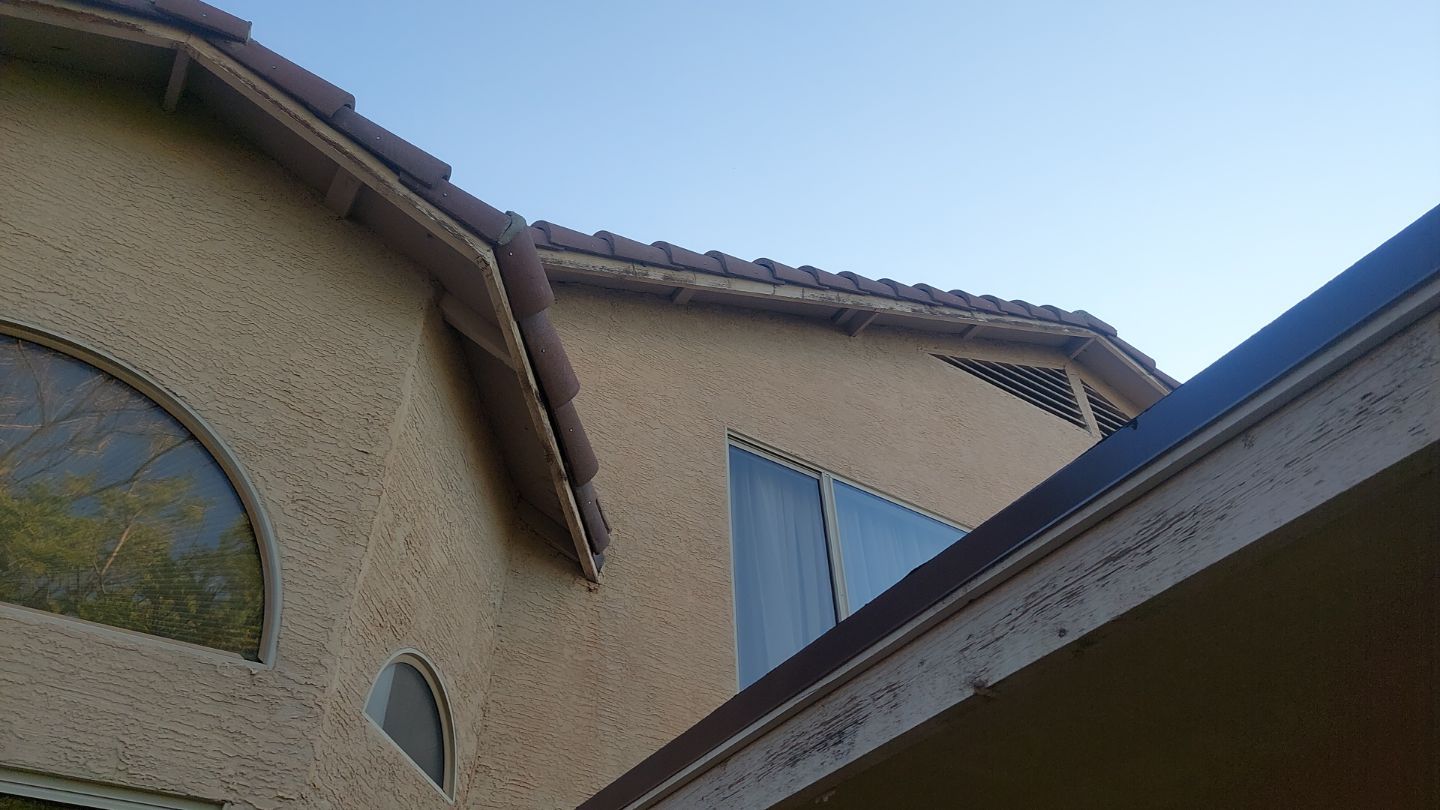 Exterior Painting - Gilbert by Crash of Rhinos Painting & Garage Floors
