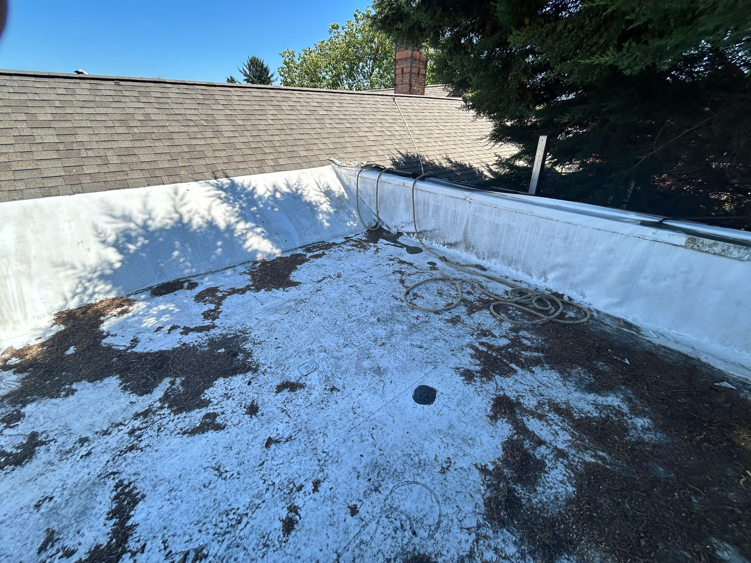 Flat Roof Replacement in Portland by Prodigy Roof Solutions