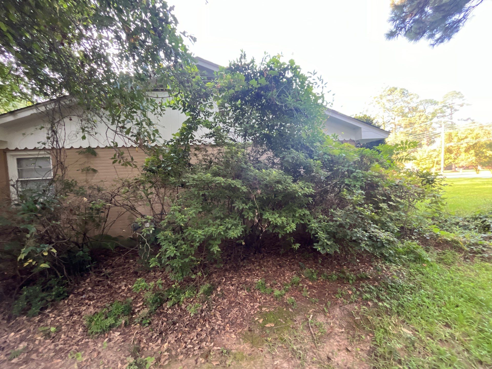 Yard Makeover by College Bros Outdoor services