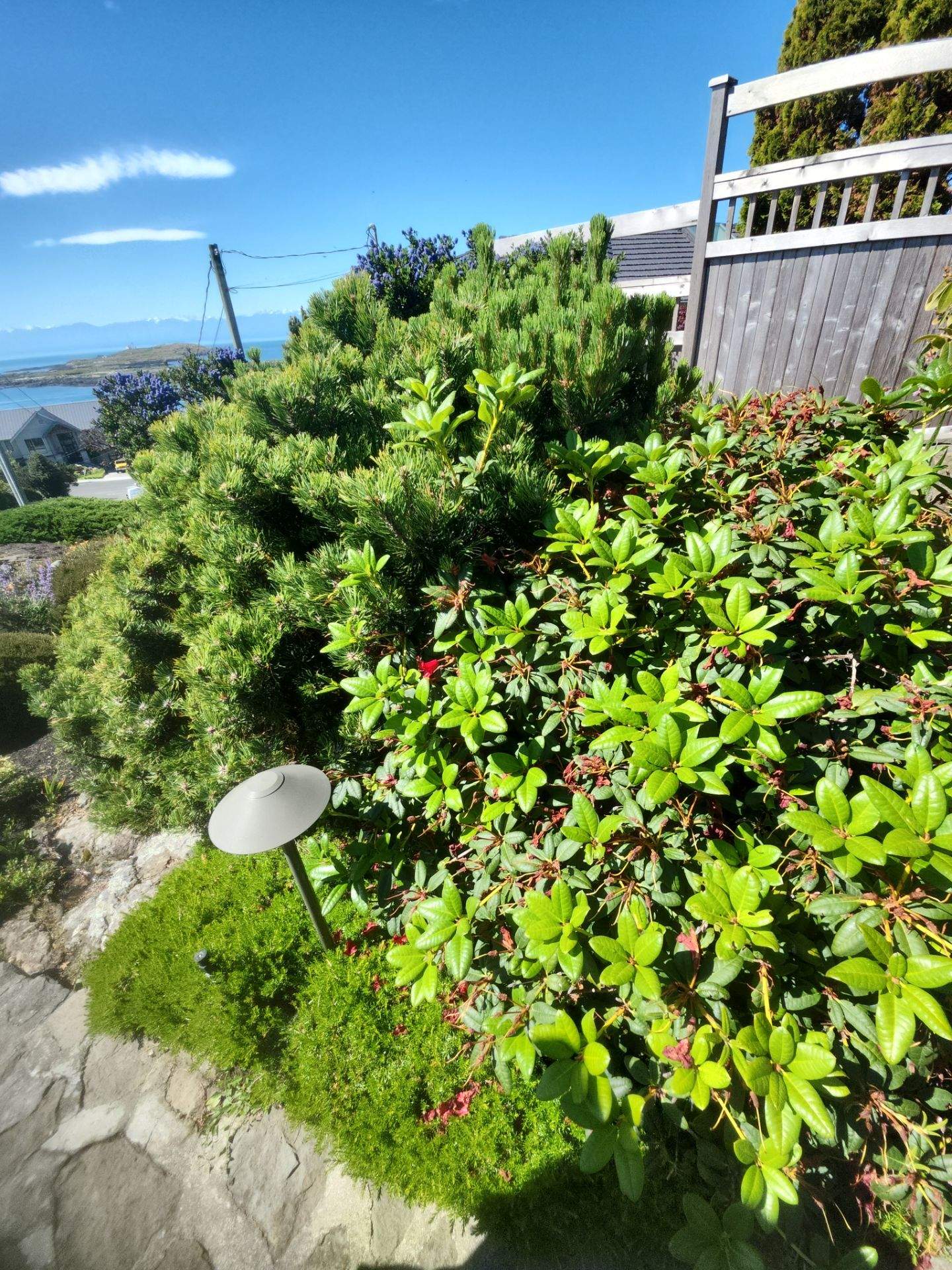 Oak Bay Residence by Habanero Garden and Exterior Care