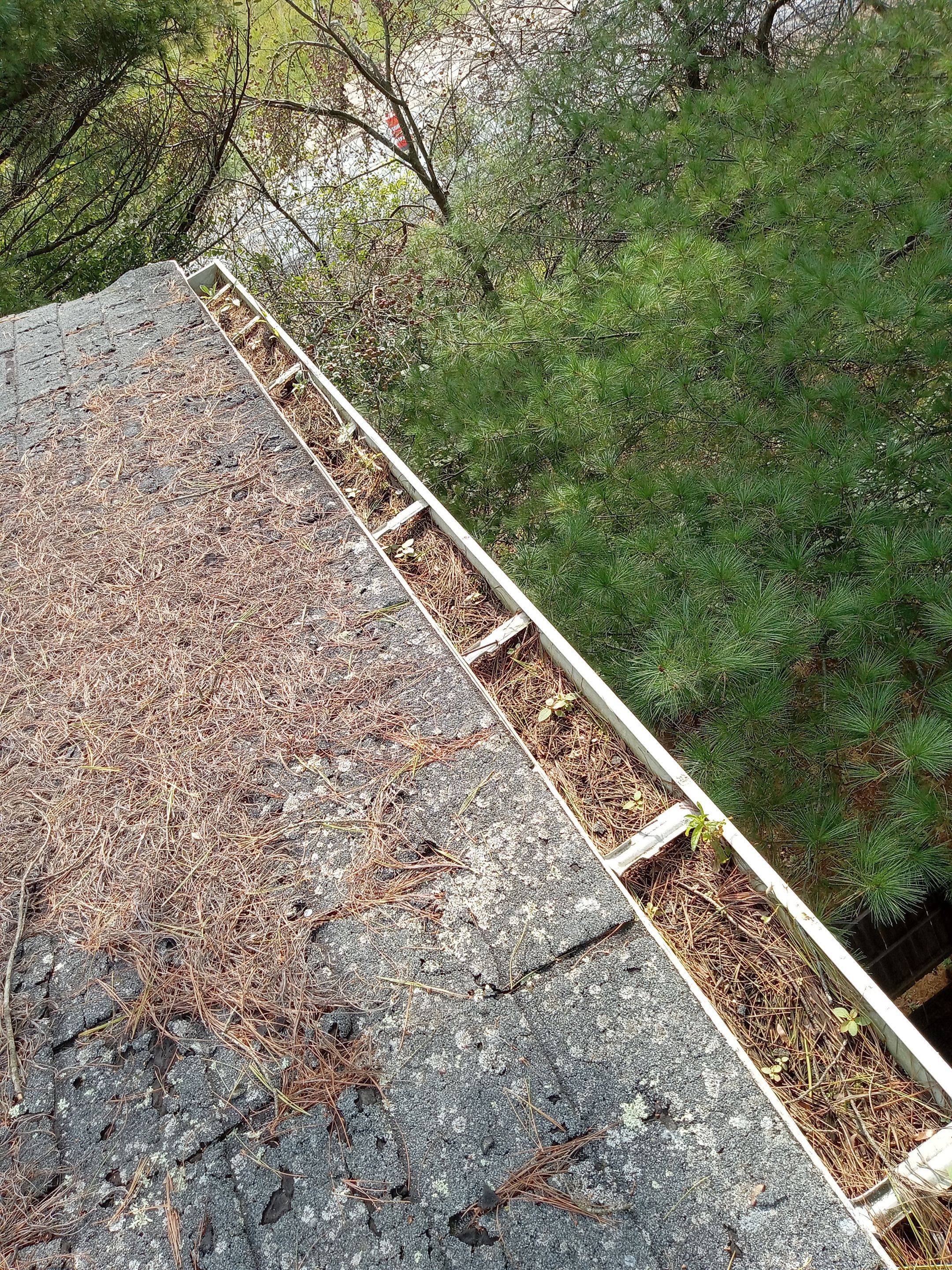 Commercial gutter cleaning Portland, ME before photo with filled gutters