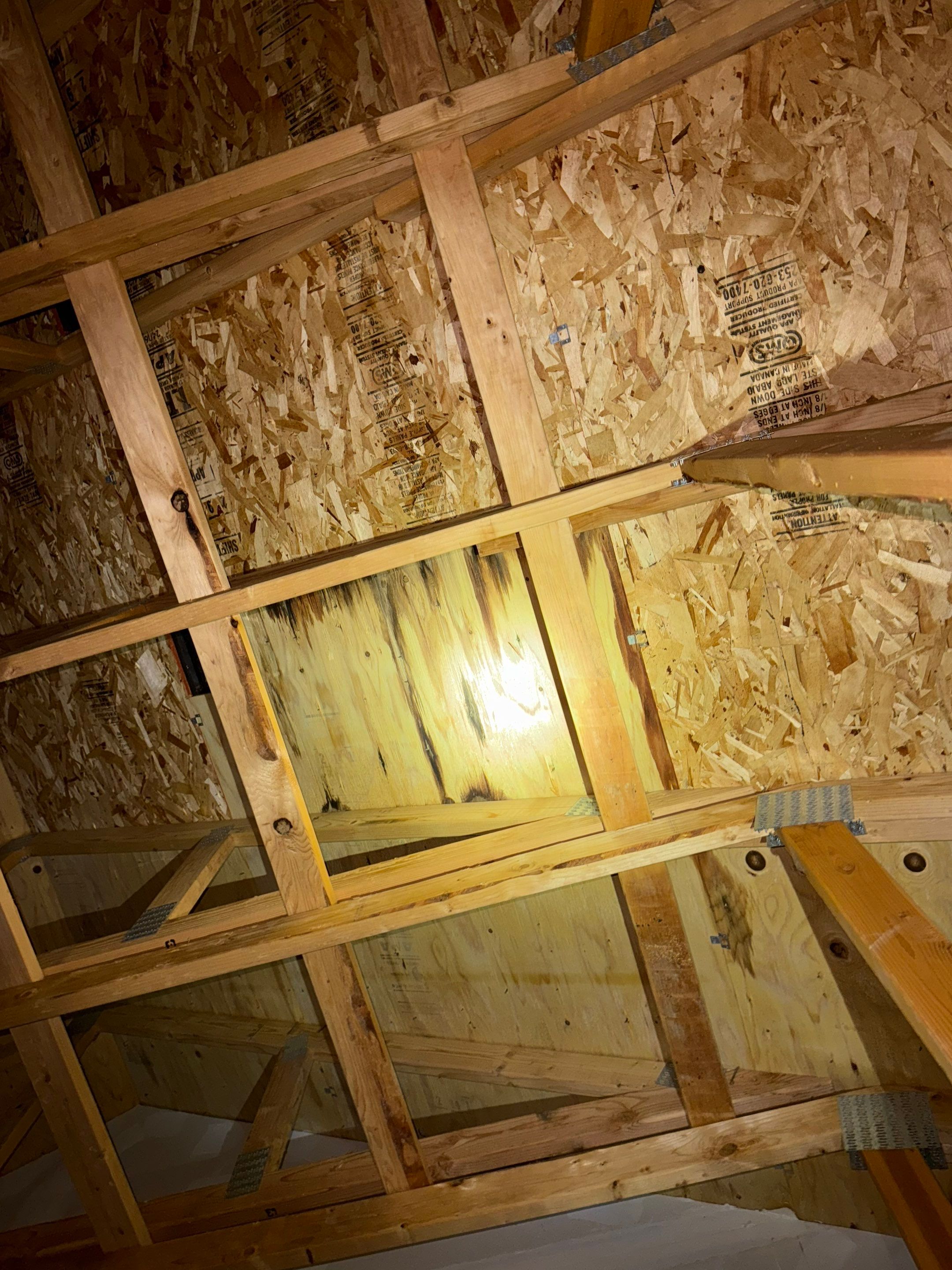 Roof Repair,  by Proline Roofing & Restoration LLC