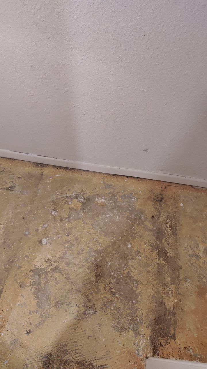 Water Damage by Accountable Home Services