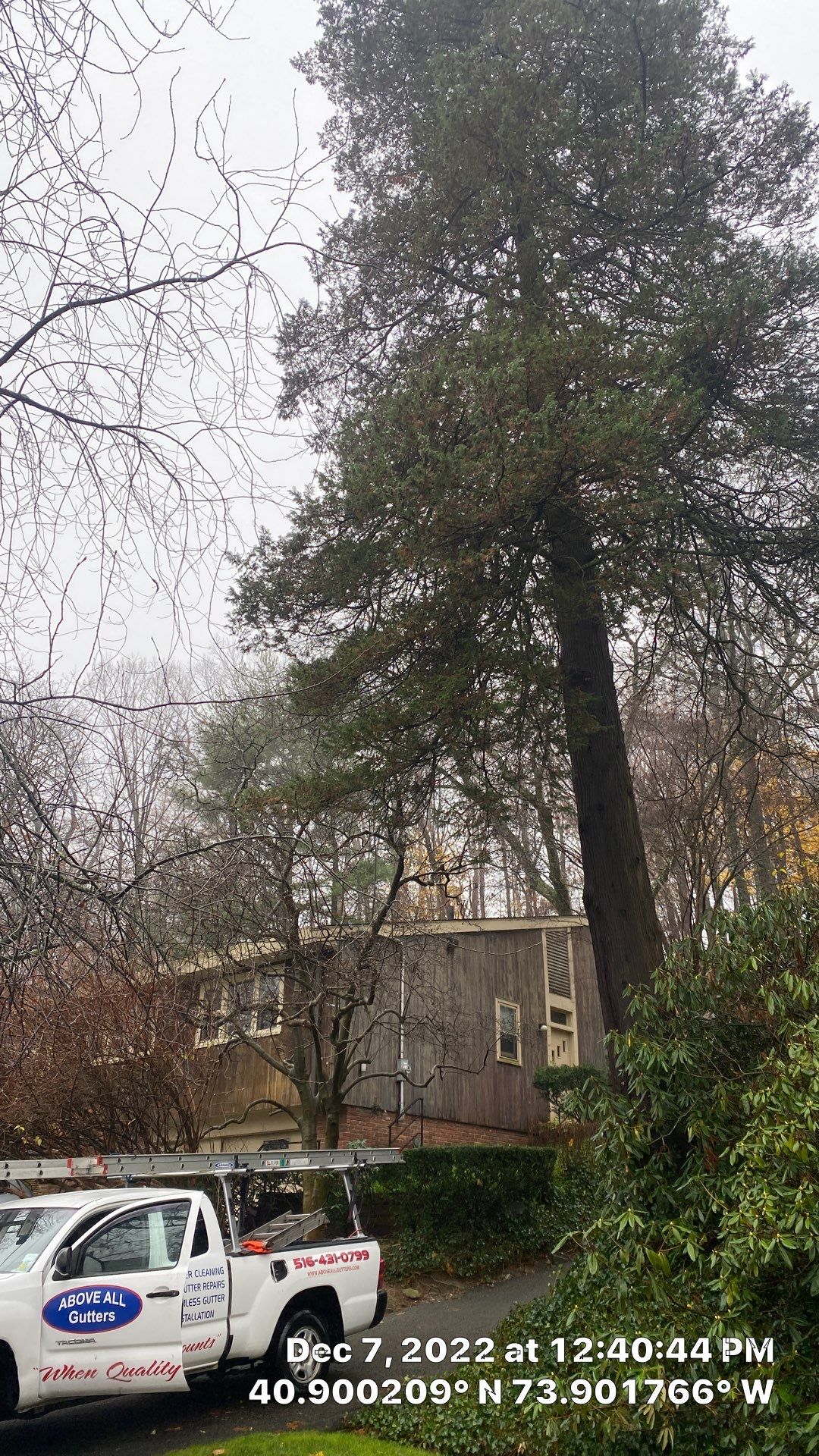 Gutter Cleaning Bronx by Above All Gutters 