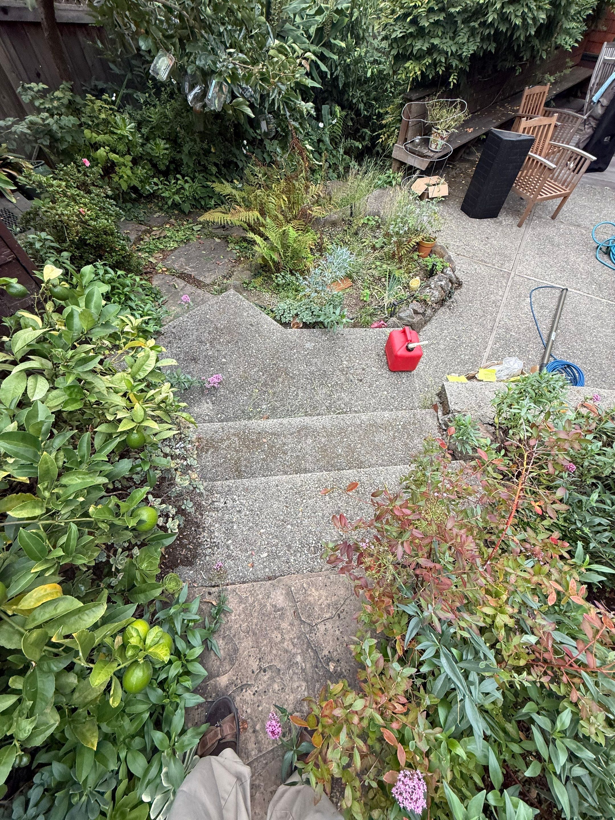 Full back garden refresh by SpotFree Window Cleaning