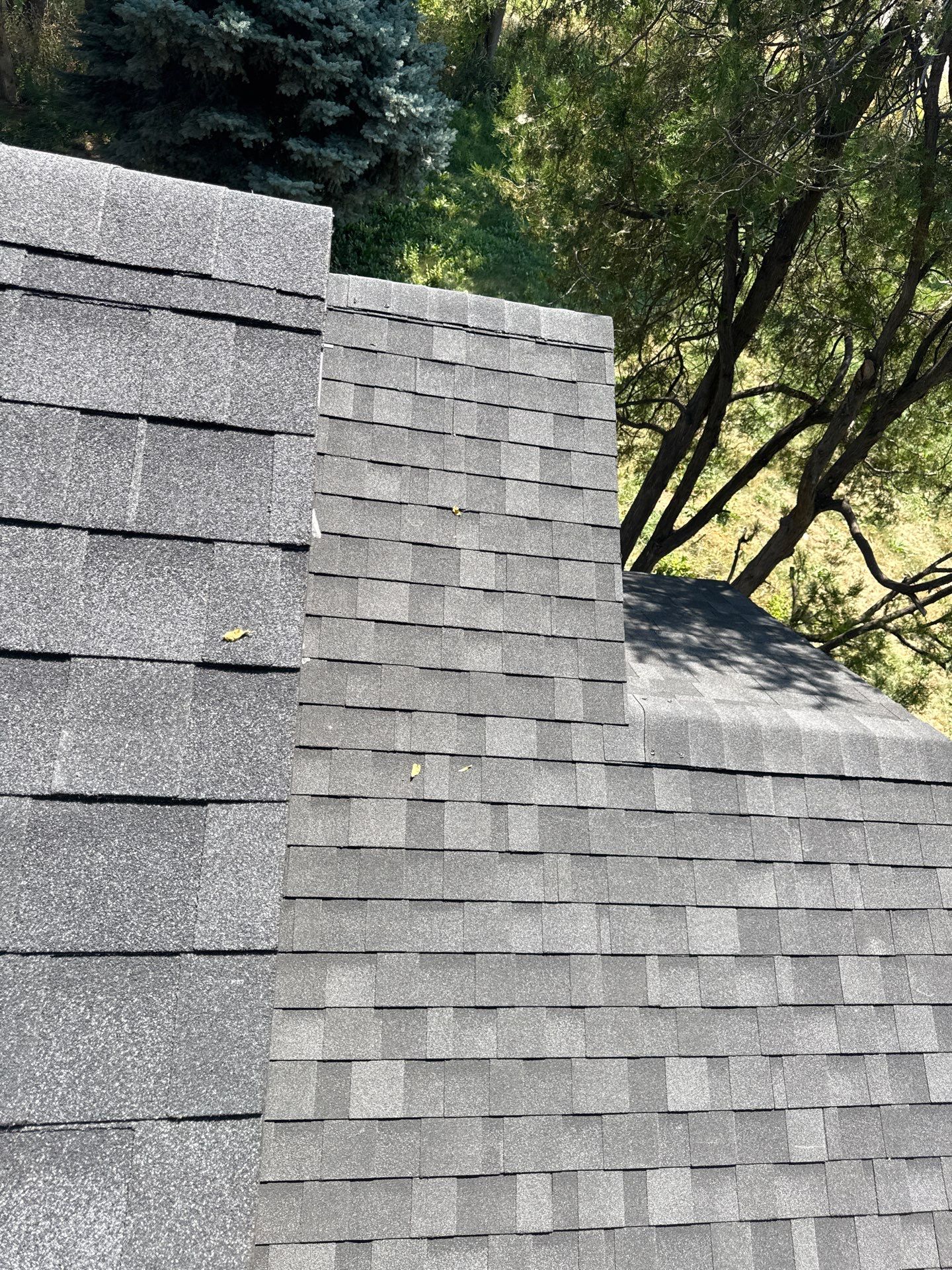 Full Residential Roof Replacement with New OSB Sheathing in Nampa by Olive Roofing