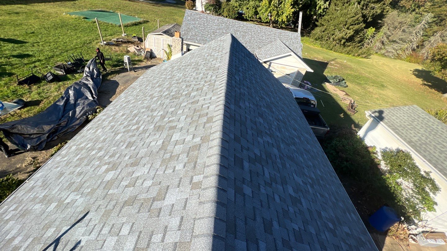 Silver Birch Shingles by Reimagine Roofing