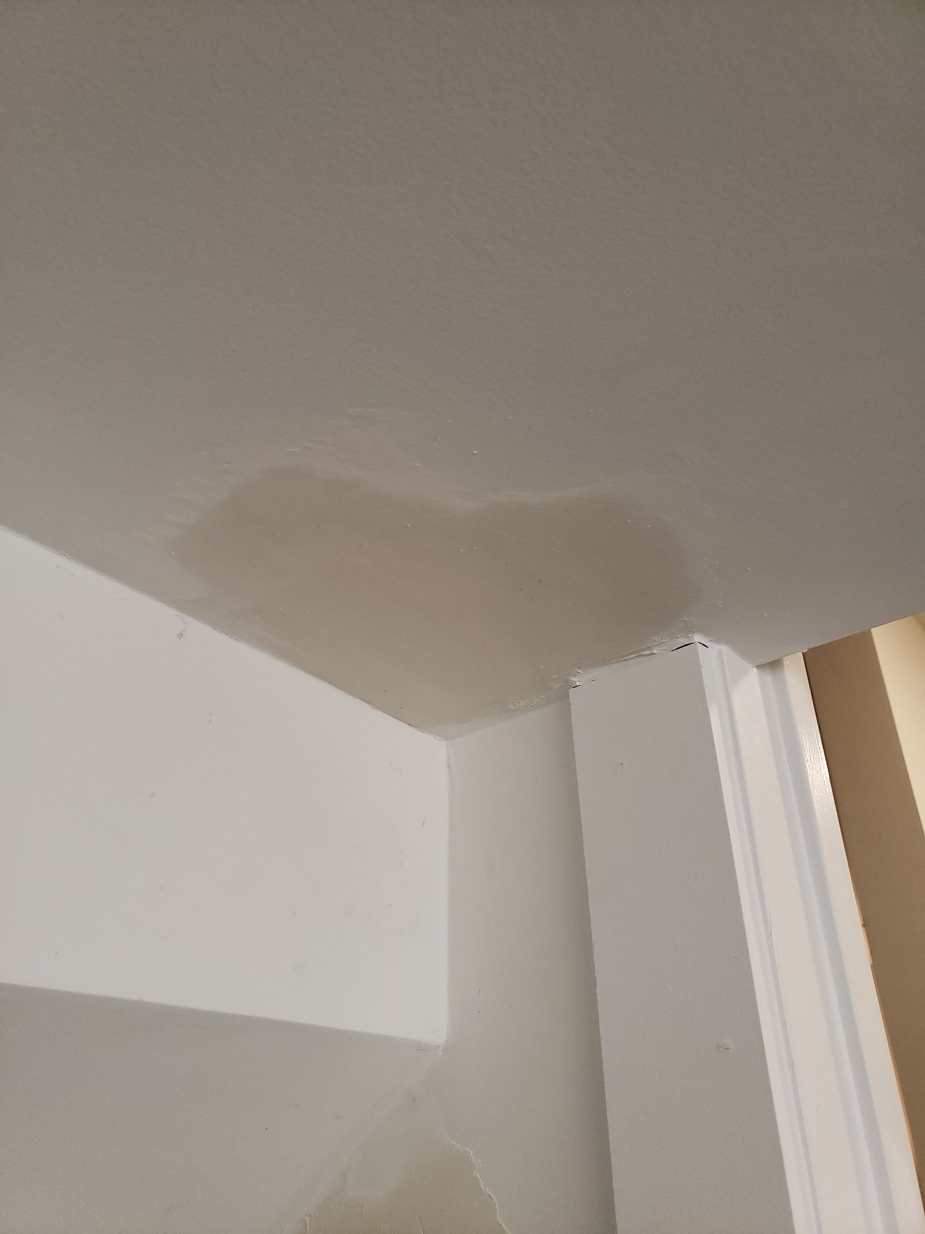 Server Room Organization & Climate Control by A Step Above Handy LLC 