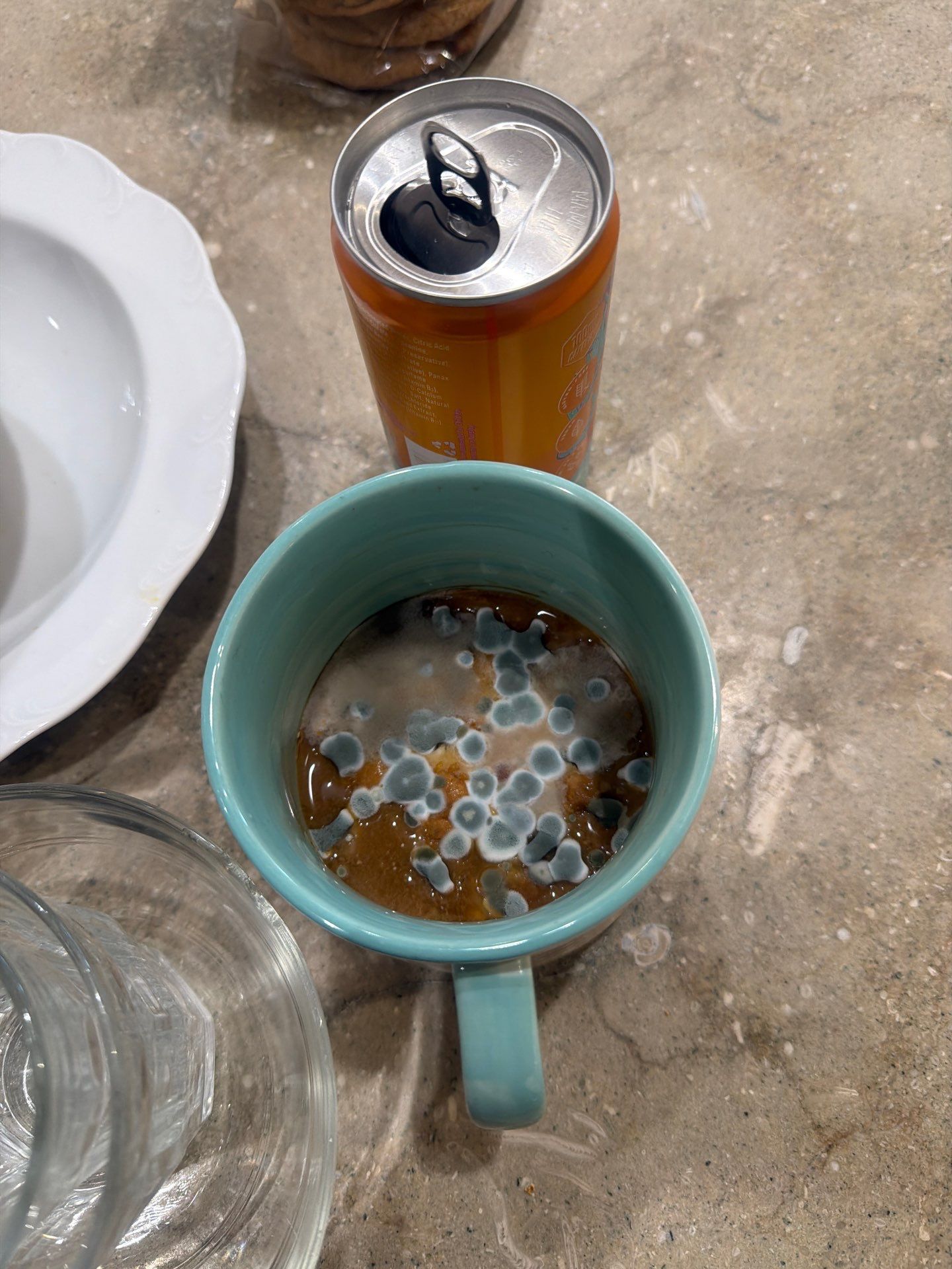 House Cleaning and Maid Service in Dunthorpe Portland by Cloud 9 Professional Cleaning Services