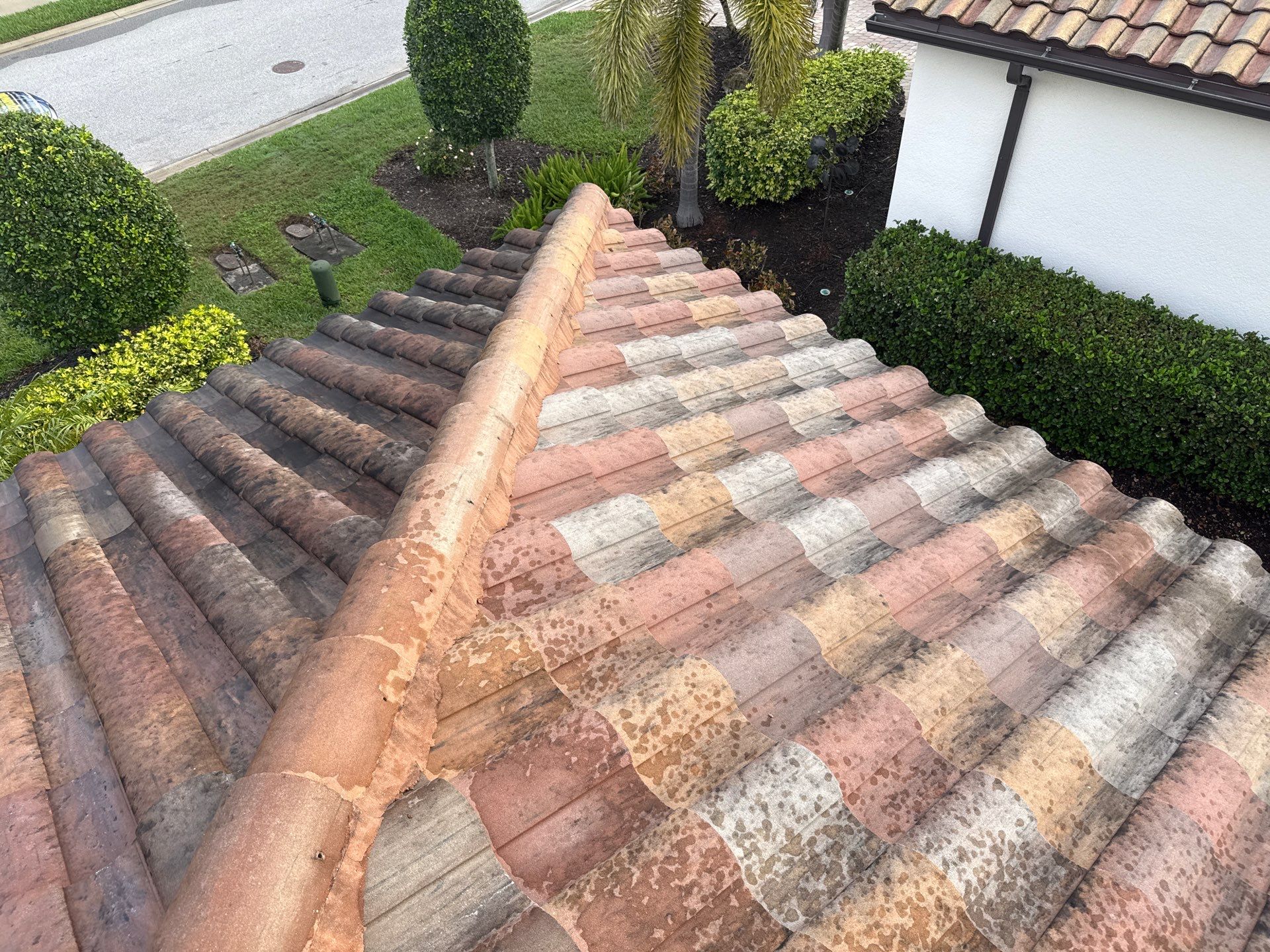 Paver Pool Deck, Driveway & Concrete Tile Roof Cleaning in River Strand, Bradenton, FL | Sunshine AquaWash by Sunshine AquaWash