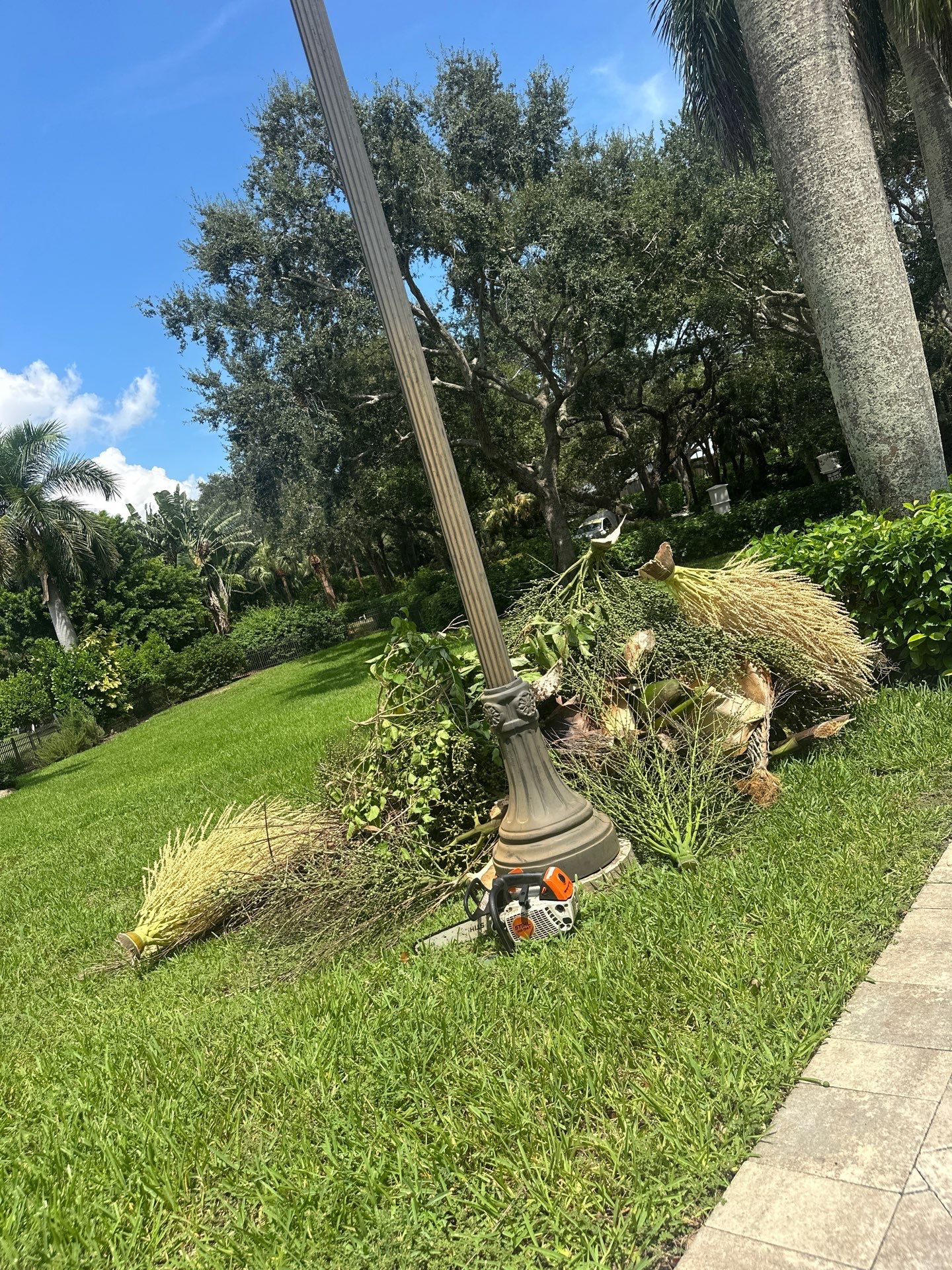 Sewall's Point Phase 1 - The Art of the Cutback by Alpha Zeta Enterprises Inc