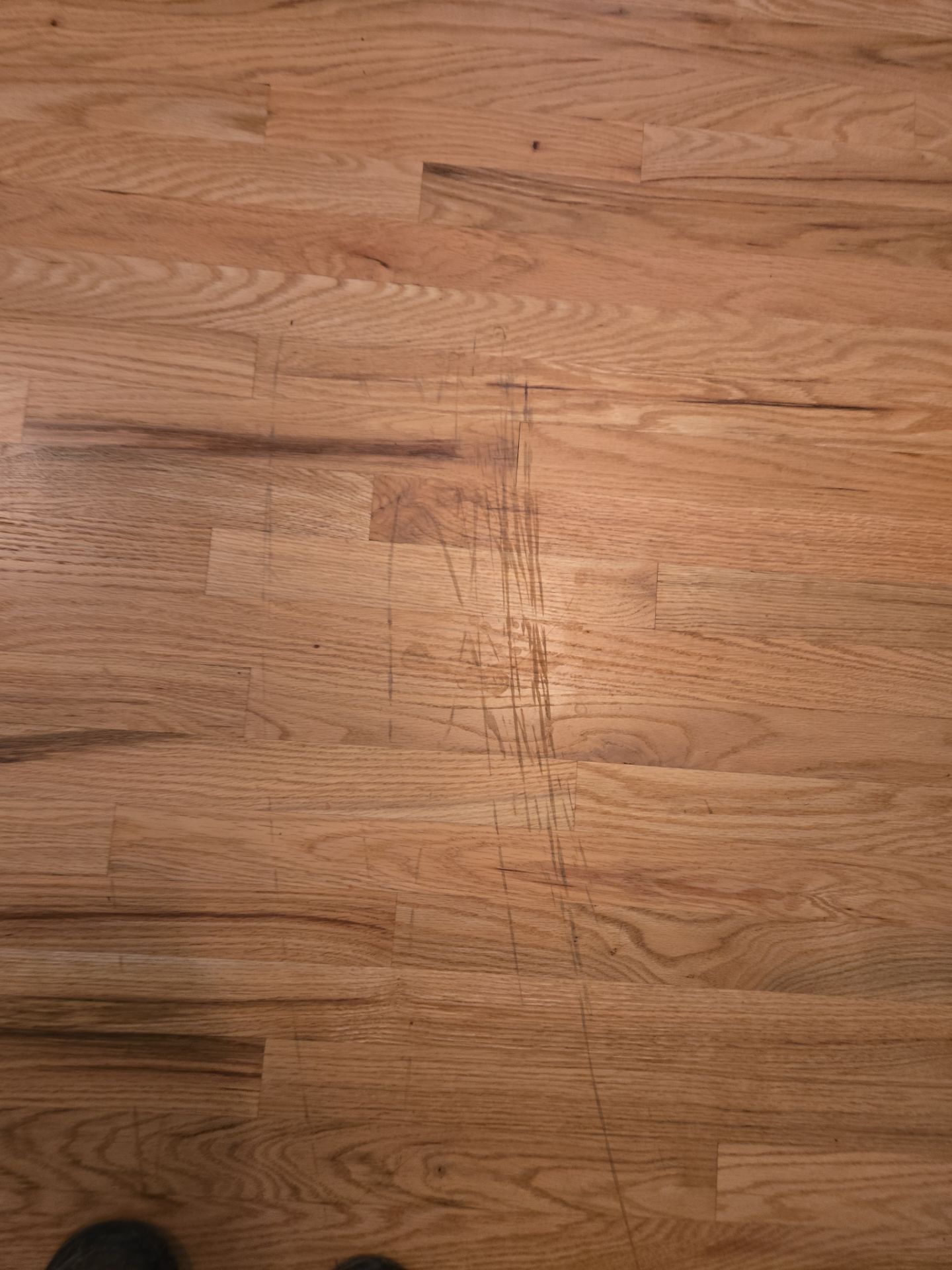 Natural Satin Refinish  by Footprints Floors of Nashville