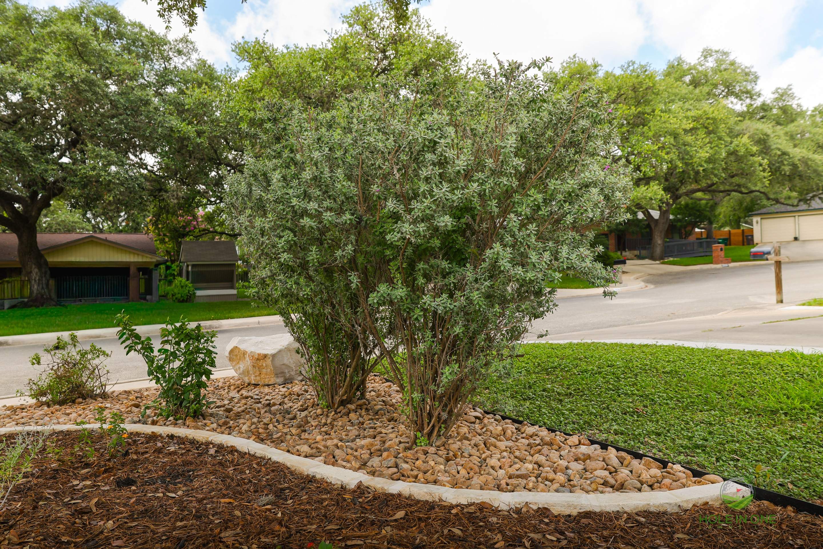 Whisper Hollow, San Antonio TX by Hole In One Lawns, LLC