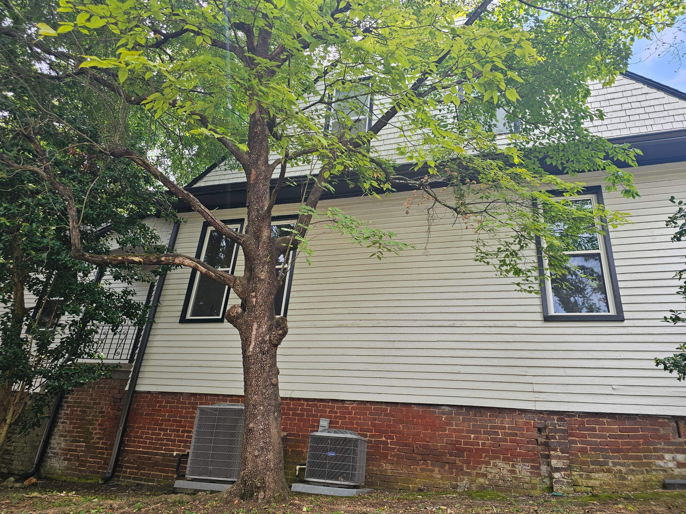 Moffit Project in Birmingham by The Window Source