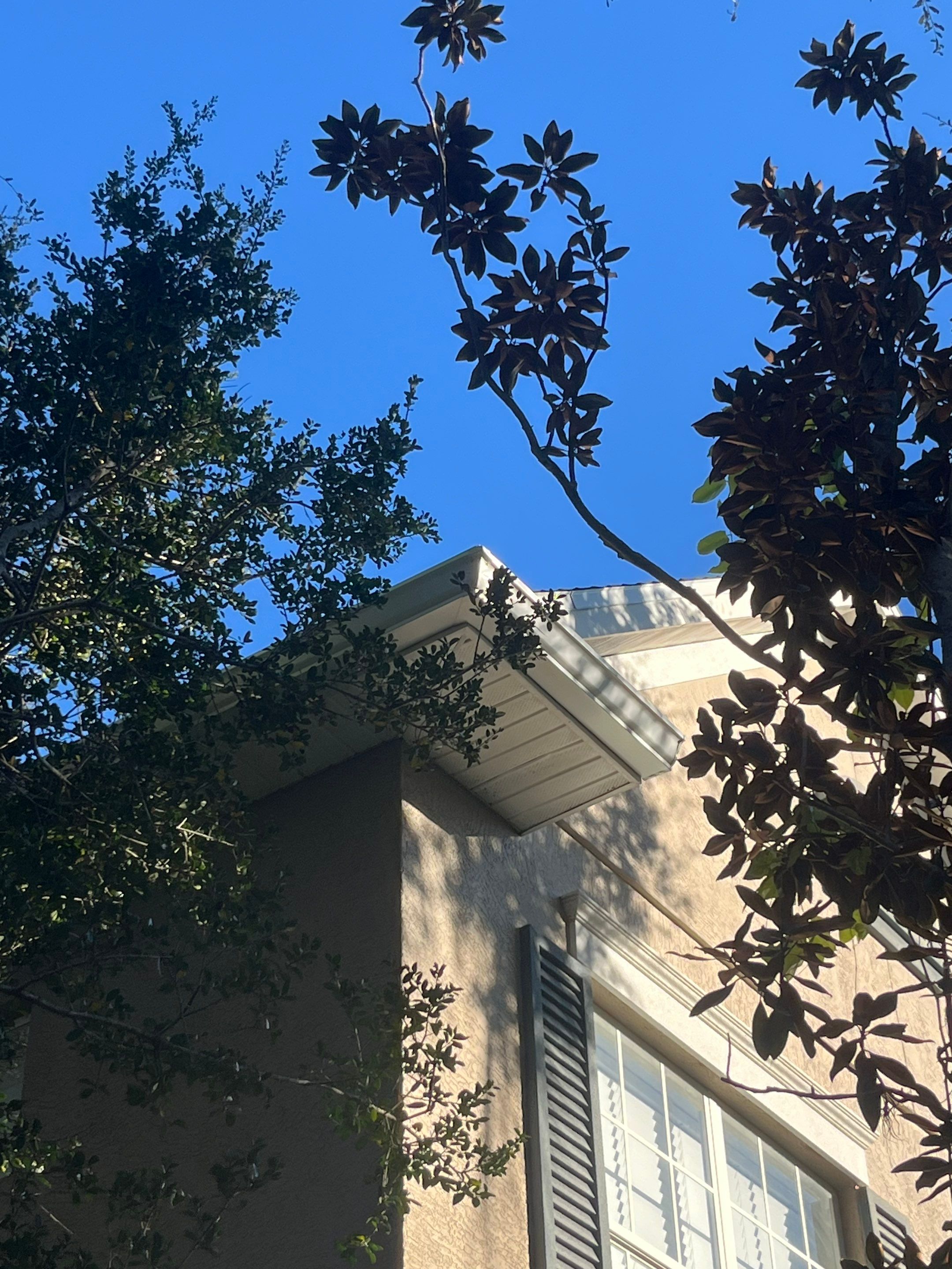 Gutter Cleaning Service in Fort Myers FL by Gutter Professors