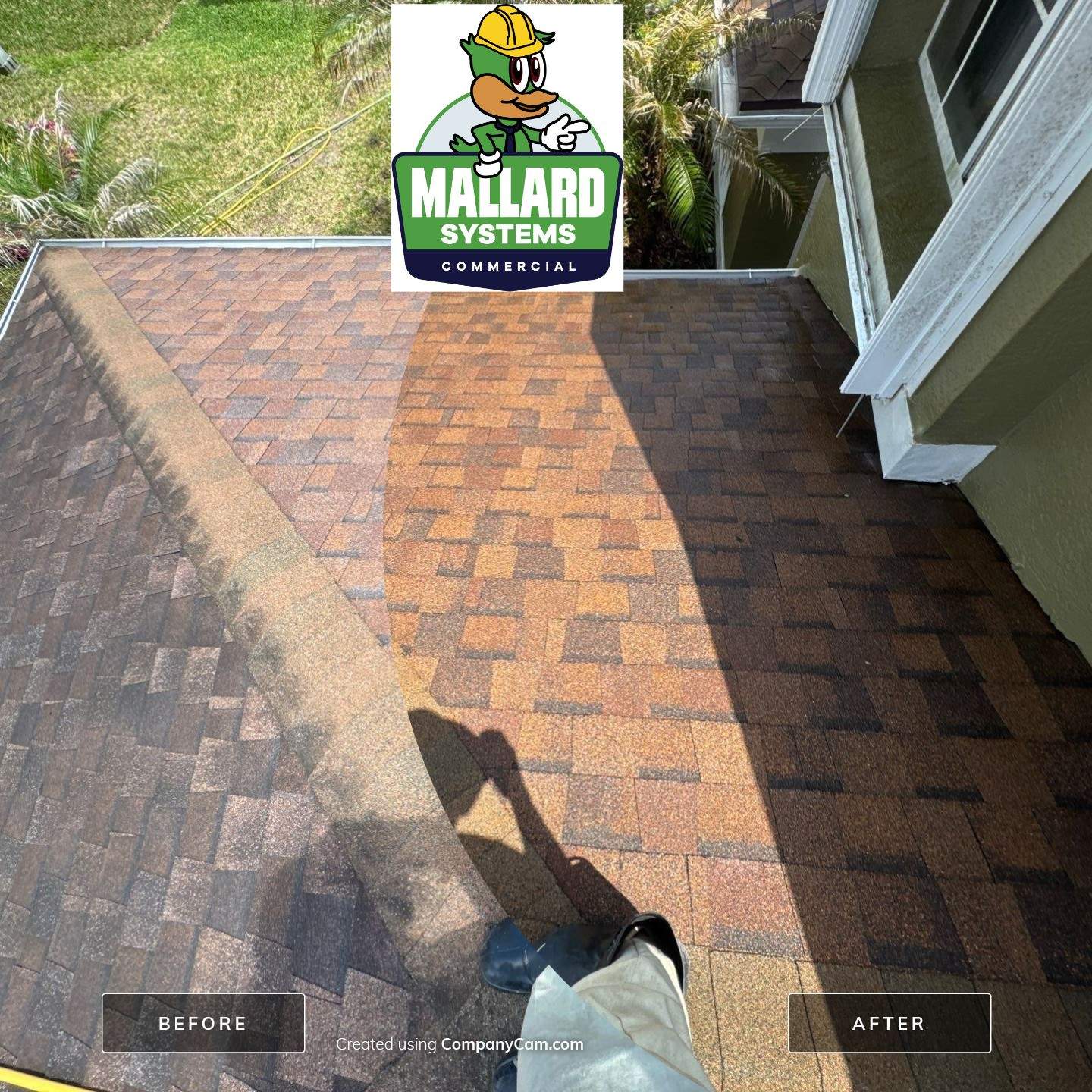 Shingle Roof Cleaning by Mallard Systems