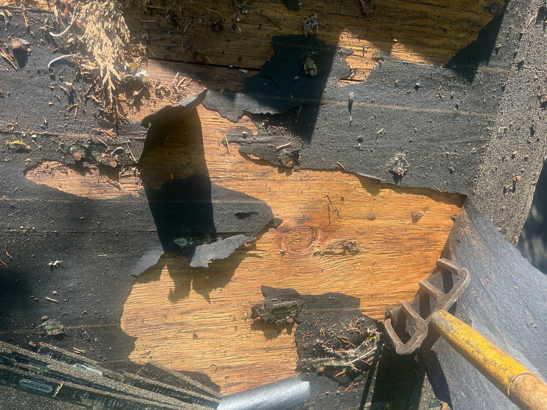 Project in Bellevue by Roofing Formula LLC