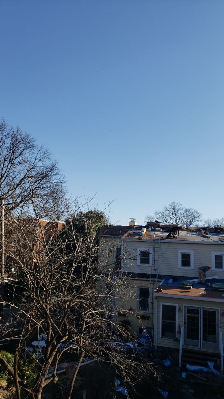 Alexandria Landmark Pro MD Resawn Shake/Flintlastic SA Project by RM Banning, Inc.