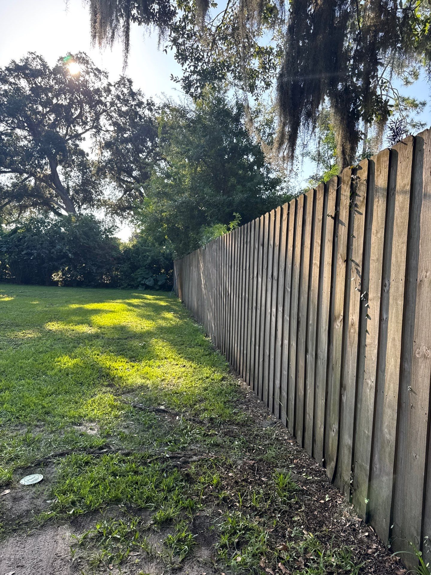 Residential | Tree Trimming  by ProGreen Services