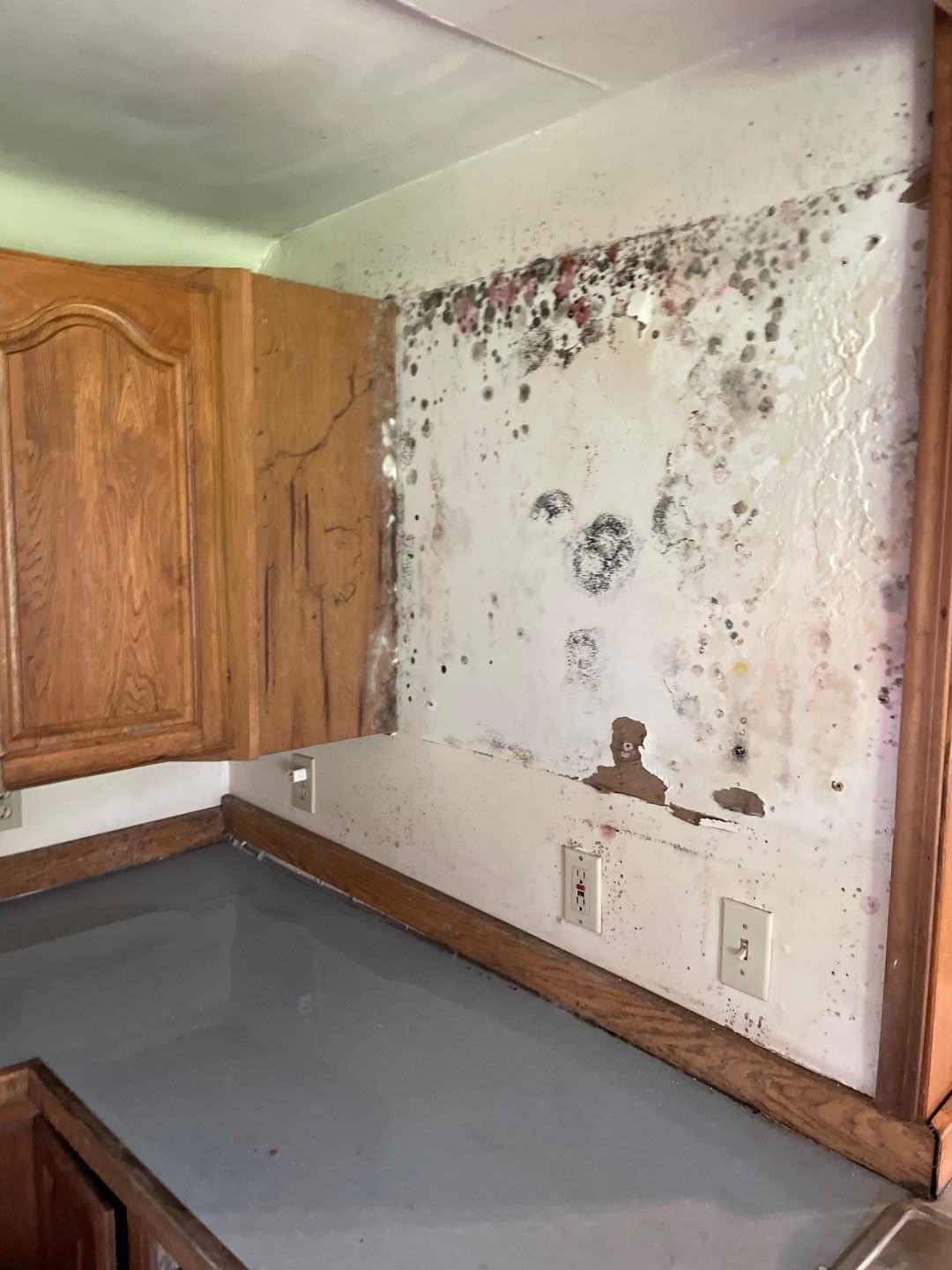 Project in Croswell by EzDry Water Mitigation & Property Restoration