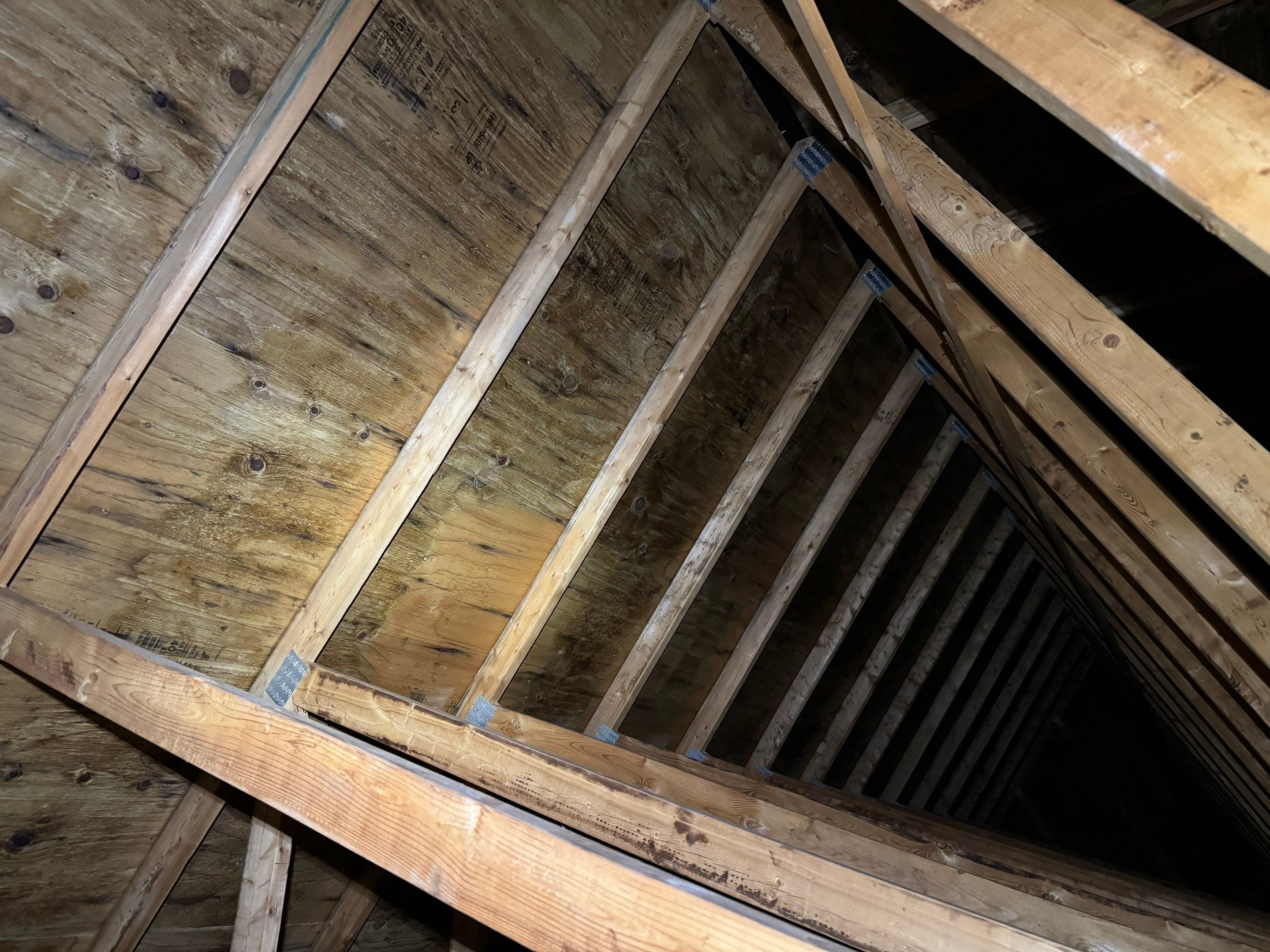 Dalton Attic by Home Guarantee, LLC