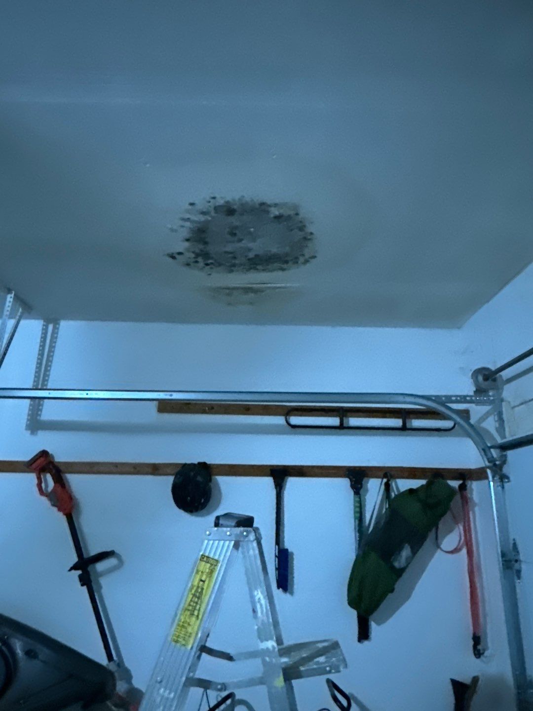 Garage Ceiling Water Damage/Mold Remediation by Chicagoland Water Medics