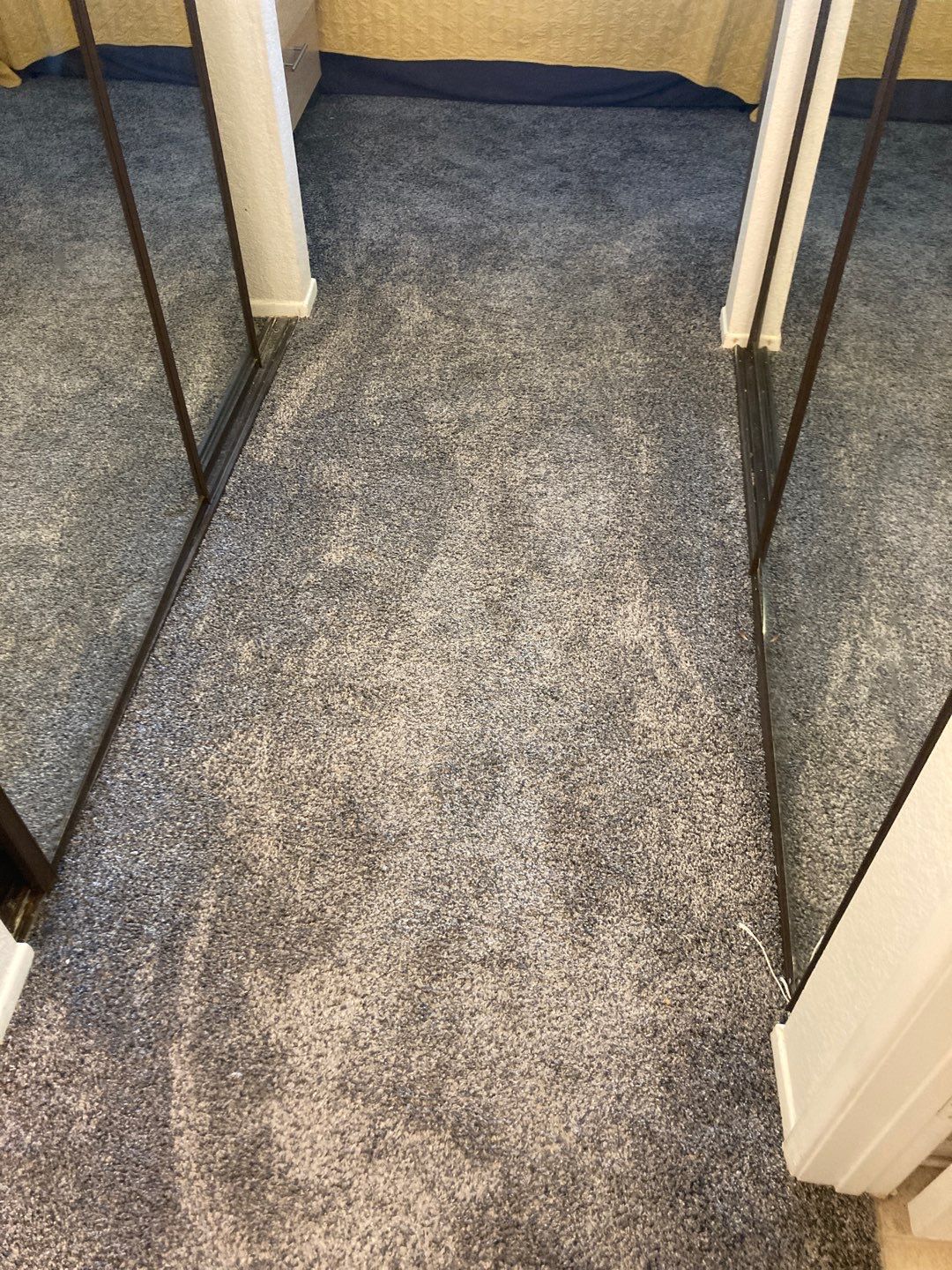 Replace Carpet with LVP by Andre Handyman