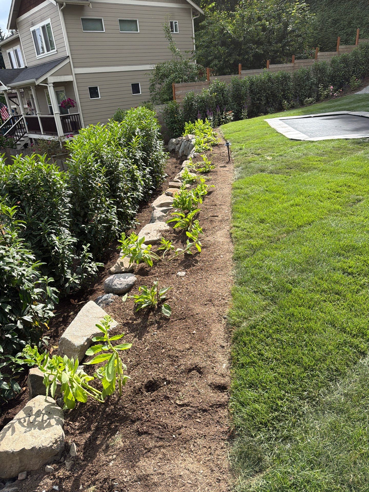 Maple Ave Renovation by Pacific Pine Landscape